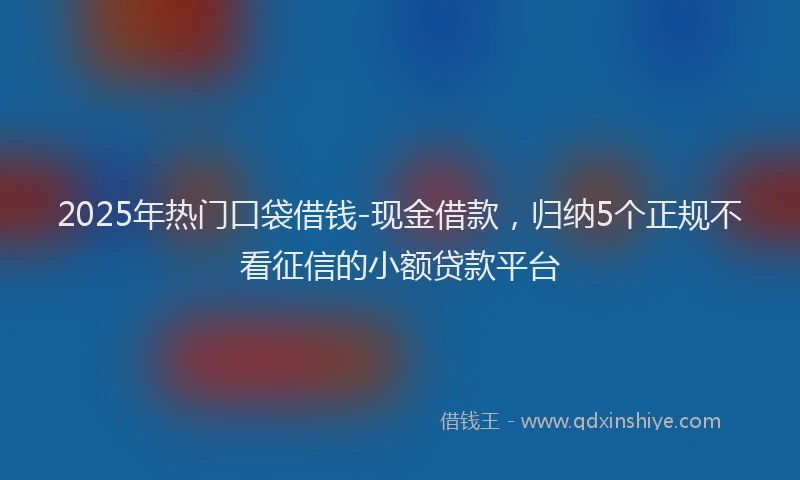 2025年热门口袋借钱-现金借款，归纳5个正规不看征信的小额贷款平台