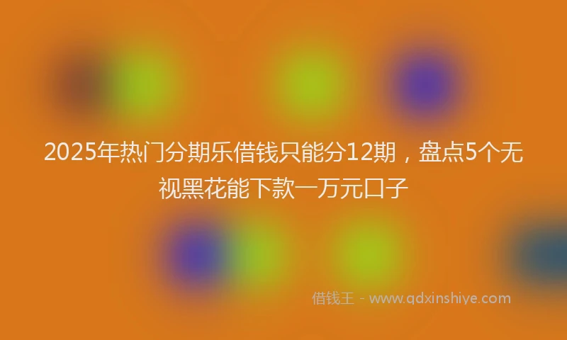 2025年热门分期乐借钱只能分12期，盘点5个无视黑花能下款一万元口子