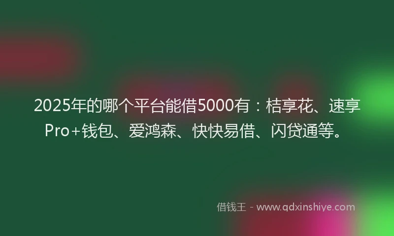 2025年的哪个平台能借5000有：桔享花、速享Pro+钱包、爱鸿森、快快易借、闪贷通等。