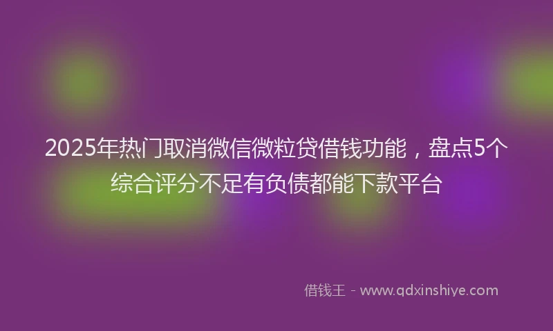 2025年热门取消微信微粒贷借钱功能，盘点5个综合评分不足有负债都能下款平台