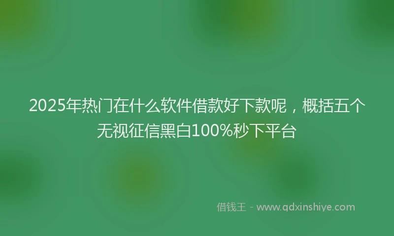2025年热门在什么软件借款好下款呢，概括五个无视征信黑白100%秒下平台