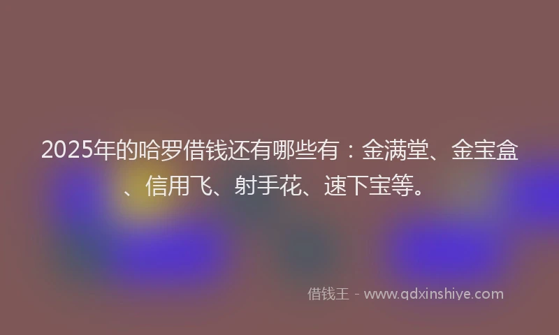 2025年的哈罗借钱还有哪些有：金满堂、金宝盒、信用飞、射手花、速下宝等。