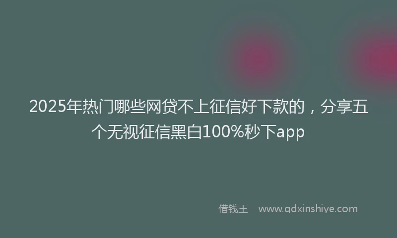 2025年热门哪些网贷不上征信好下款的，分享五个无视征信黑白100%秒下app