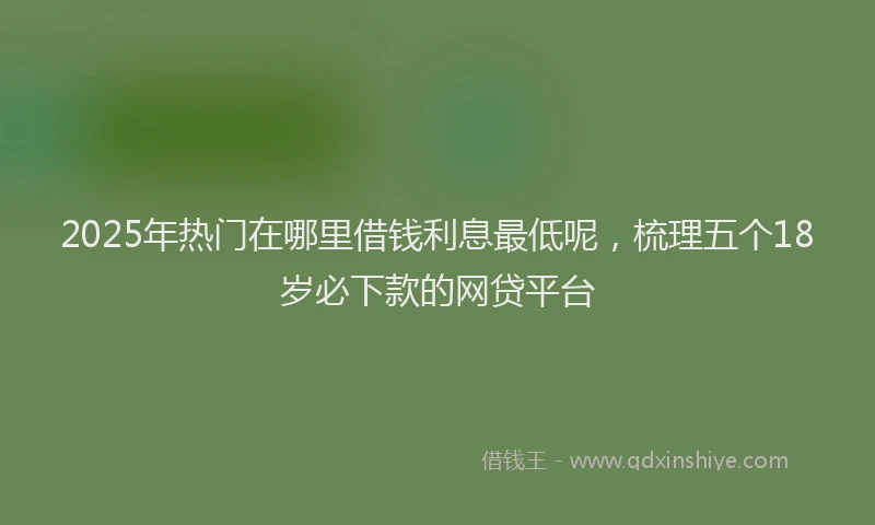 2025年热门在哪里借钱利息最低呢，梳理五个18岁必下款的网贷平台