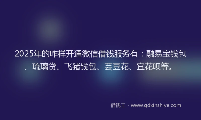 2025年的咋样开通微信借钱服务有：融易宝钱包、琉璃贷、飞猪钱包、芸豆花、宜花呗等。