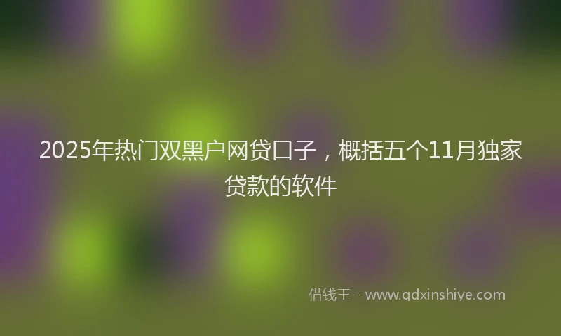 2025年热门双黑户网贷口子，概括五个11月独家贷款的软件