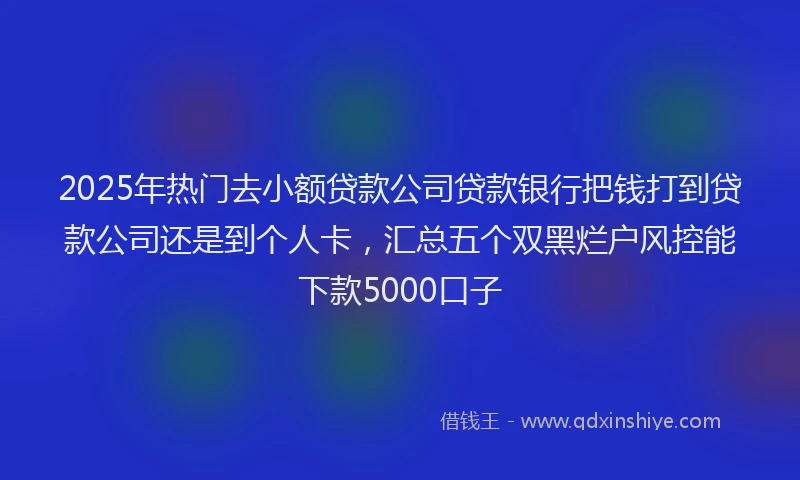 2025年热门去小额贷款公司贷款银行把钱打到贷款公司还是到个人卡，汇总五个双黑烂户风控能下款5000口子