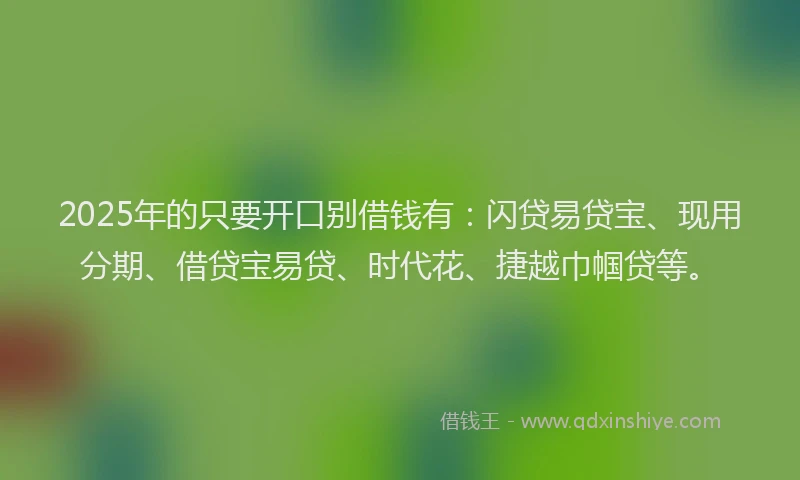 2025年的只要开口别借钱有：闪贷易贷宝、现用分期、借贷宝易贷、时代花、捷越巾帼贷等。