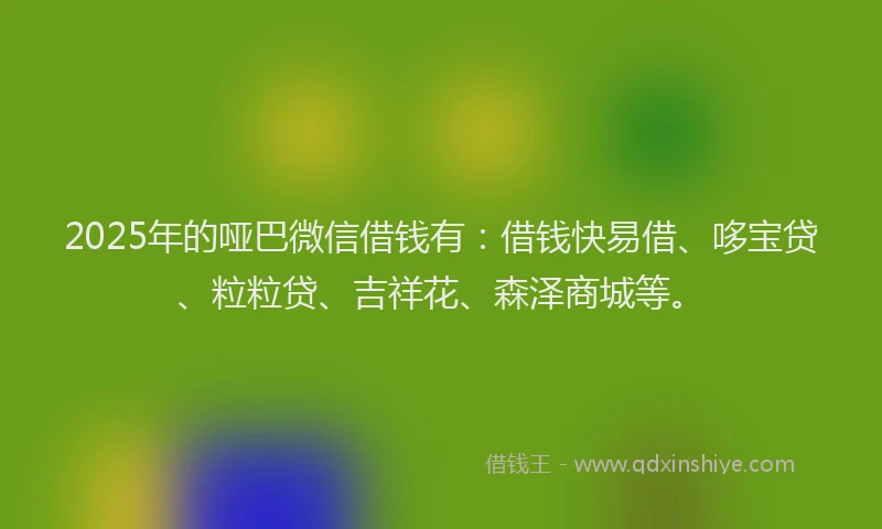 2025年的哑巴微信借钱有：借钱快易借、哆宝贷、粒粒贷、吉祥花、森泽商城等。