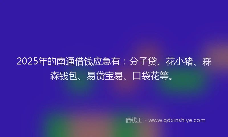 2025年的南通借钱应急有：分子贷、花小猪、森森钱包、易贷宝易、口袋花等。