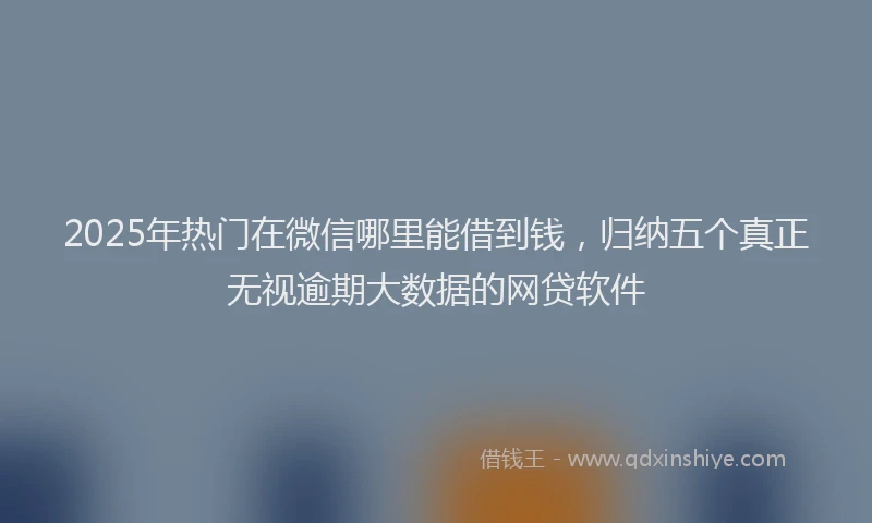 2025年热门在微信哪里能借到钱，归纳五个真正无视逾期大数据的网贷软件