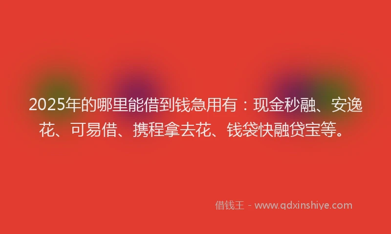 2025年的哪里能借到钱急用有：现金秒融、安逸花、可易借、携程拿去花、钱袋快融贷宝等。