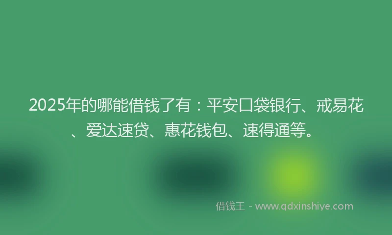 2025年的哪能借钱了有：平安口袋银行、戒易花、爱达速贷、惠花钱包、速得通等。