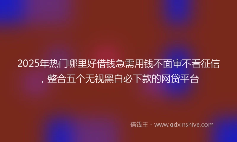 2025年热门哪里好借钱急需用钱不面审不看征信，整合五个无视黑白必下款的网贷平台