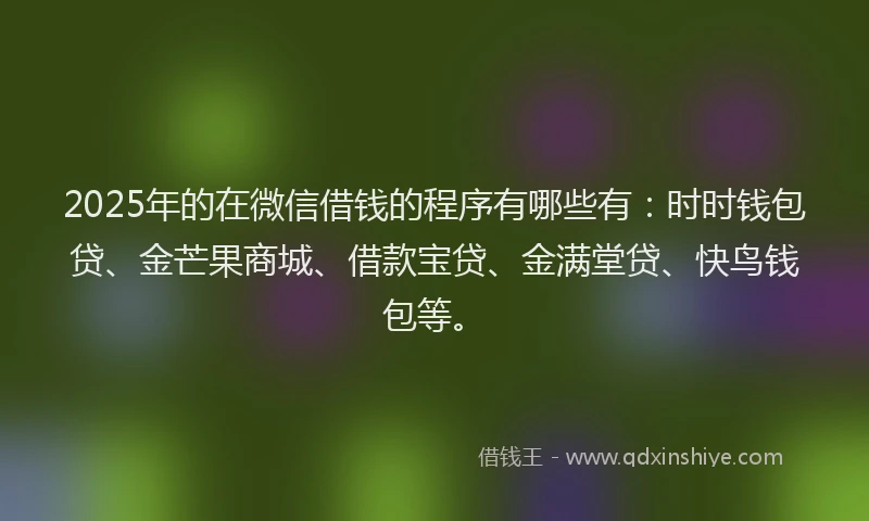 2025年的在微信借钱的程序有哪些有：时时钱包贷、金芒果商城、借款宝贷、金满堂贷、快鸟钱包等。