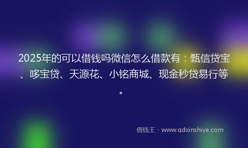 2025年的可以借钱吗微信怎么借款有：甄信贷宝、哆宝贷、天源花、小铭商城、现金秒贷易行等。