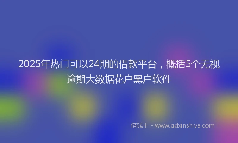 2025年热门可以24期的借款平台，概括5个无视逾期大数据花户黑户软件