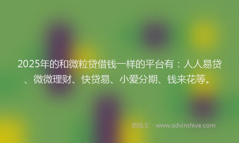 2025年的和微粒贷借钱一样的平台有：人人易贷、微微理财、快贷易、小爱分期、钱来花等。