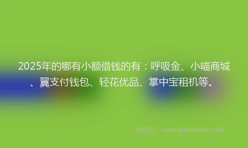 2025年的哪有小额借钱的有：呼吸金、小喵商城、翼支付钱包、轻花优品、掌中宝租机等。