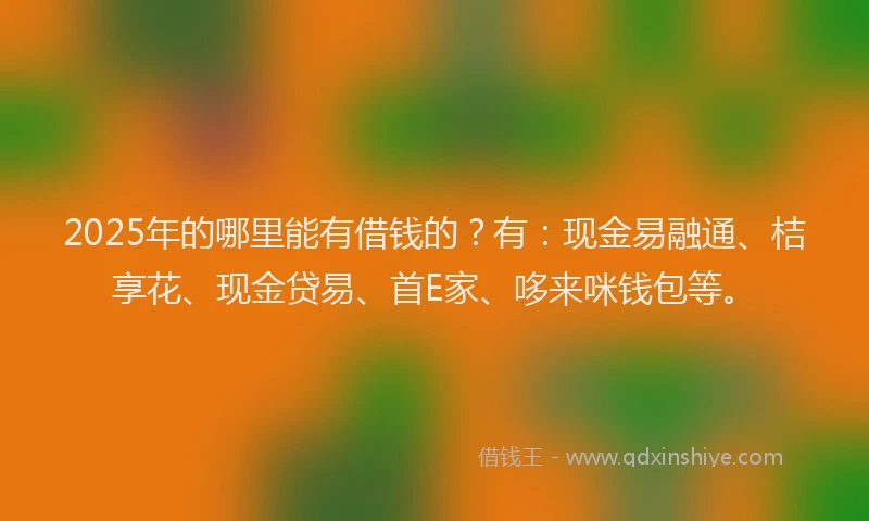 2025年的哪里能有借钱的？有：现金易融通、桔享花、现金贷易、首E家、哆来咪钱包等。