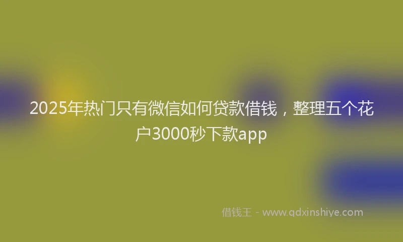 2025年热门只有微信如何贷款借钱，整理五个花户3000秒下款app