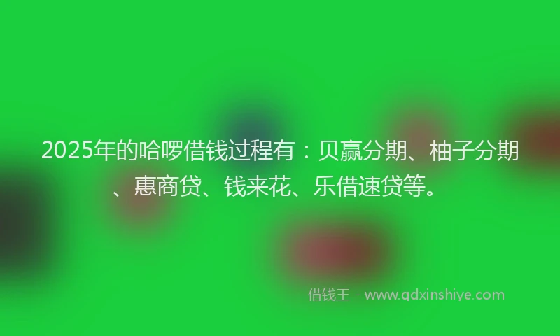 2025年的哈啰借钱过程有：贝赢分期、柚子分期、惠商贷、钱来花、乐借速贷等。