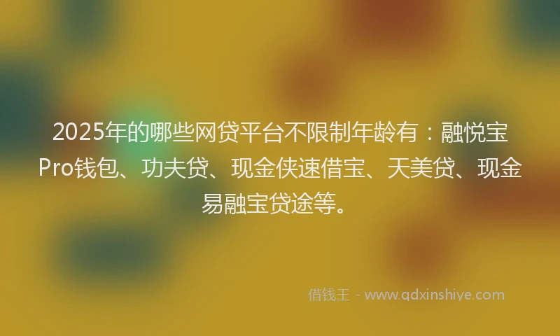2025年的哪些网贷平台不限制年龄有：融悦宝Pro钱包、功夫贷、现金侠速借宝、天美贷、现金易融宝贷途等。