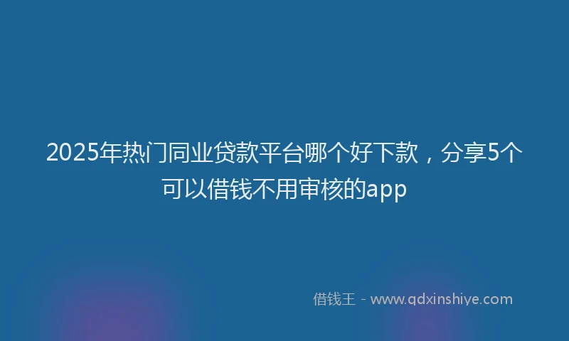 2025年热门同业贷款平台哪个好下款，分享5个可以借钱不用审核的app