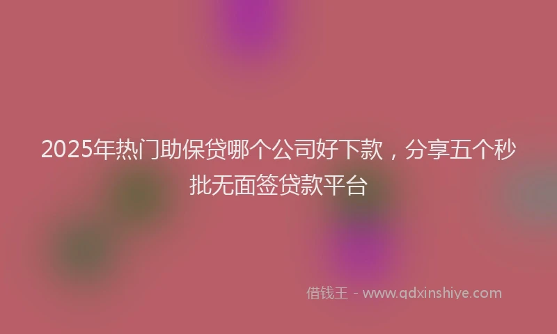 2025年热门助保贷哪个公司好下款，分享五个秒批无面签贷款平台