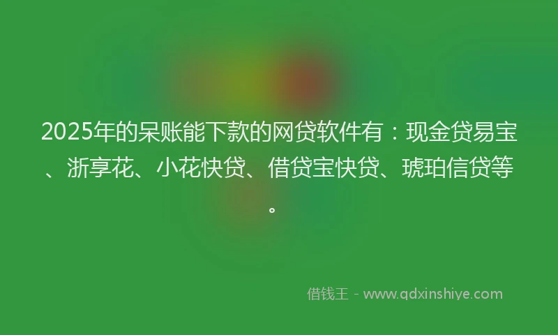 2025年的呆账能下款的网贷软件有：现金贷易宝、浙享花、小花快贷、借贷宝快贷、琥珀信贷等。