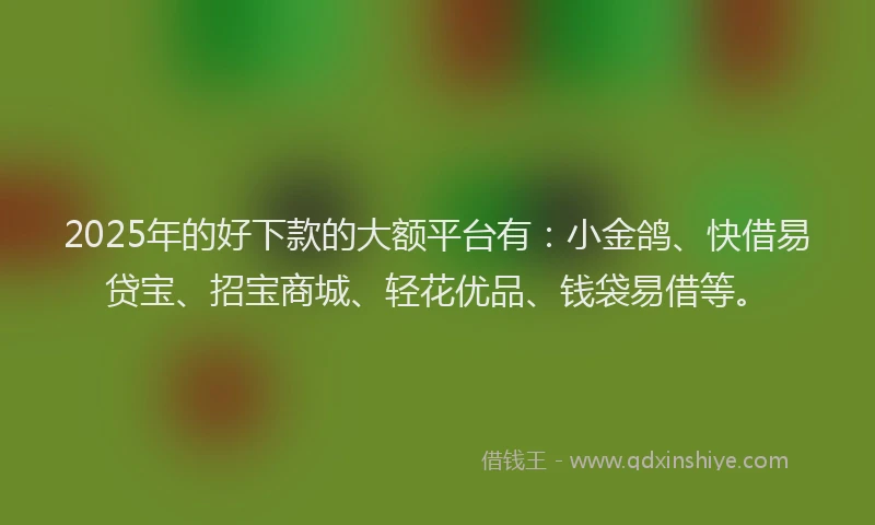 2025年的好下款的大额平台有：小金鸽、快借易贷宝、招宝商城、轻花优品、钱袋易借等。