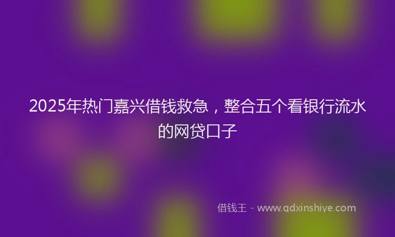 2025年热门嘉兴借钱救急，整合五个看银行流水的网贷口子