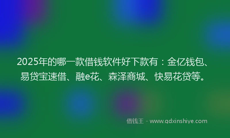 2025年的哪一款借钱软件好下款有：金亿钱包、易贷宝速借、融e花、森泽商城、快易花贷等。