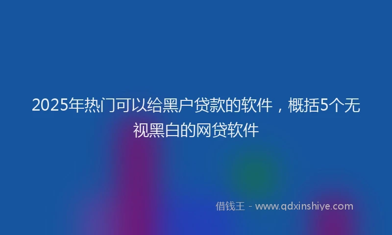 2025年热门可以给黑户贷款的软件，概括5个无视黑白的网贷软件
