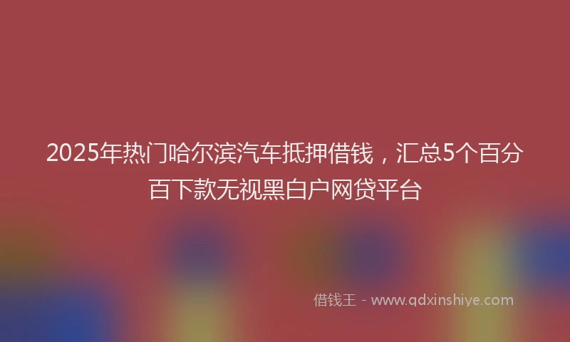 2025年热门哈尔滨汽车抵押借钱，汇总5个百分百下款无视黑白户网贷平台