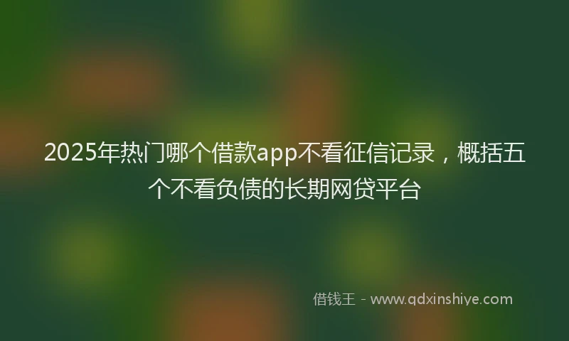 2025年热门哪个借款app不看征信记录，概括五个不看负债的长期网贷平台