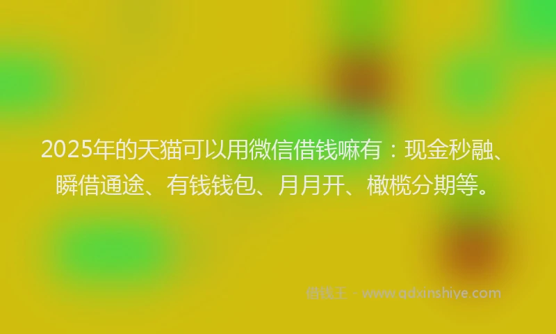 2025年的天猫可以用微信借钱嘛有：现金秒融、瞬借通途、有钱钱包、月月开、橄榄分期等。