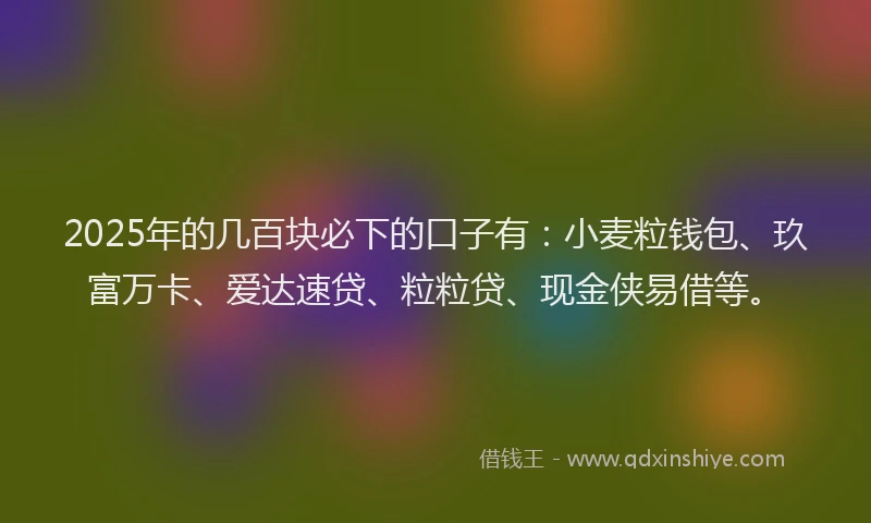 2025年的几百块必下的口子有：小麦粒钱包、玖富万卡、爱达速贷、粒粒贷、现金侠易借等。