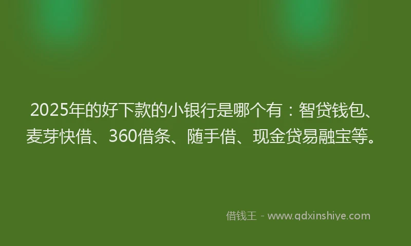 2025年的好下款的小银行是哪个有：智贷钱包、麦芽快借、360借条、随手借、现金贷易融宝等。