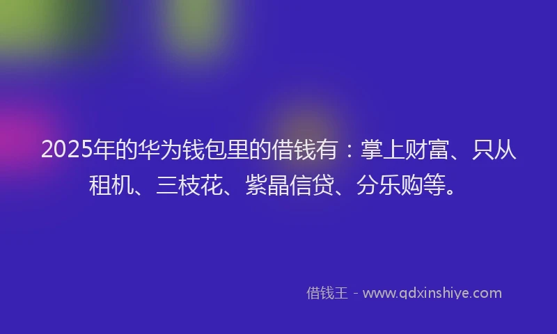 2025年的华为钱包里的借钱有：掌上财富、只从租机、三枝花、紫晶信贷、分乐购等。