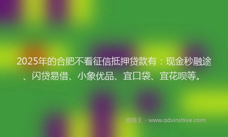 2025年的合肥不看征信抵押贷款有：现金秒融途、闪贷易借、小象优品、宜口袋、宜花呗等。