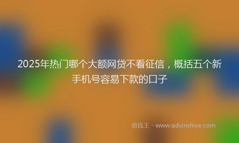 2025年热门哪个大额网贷不看征信，概括五个新手机号容易下款的口子