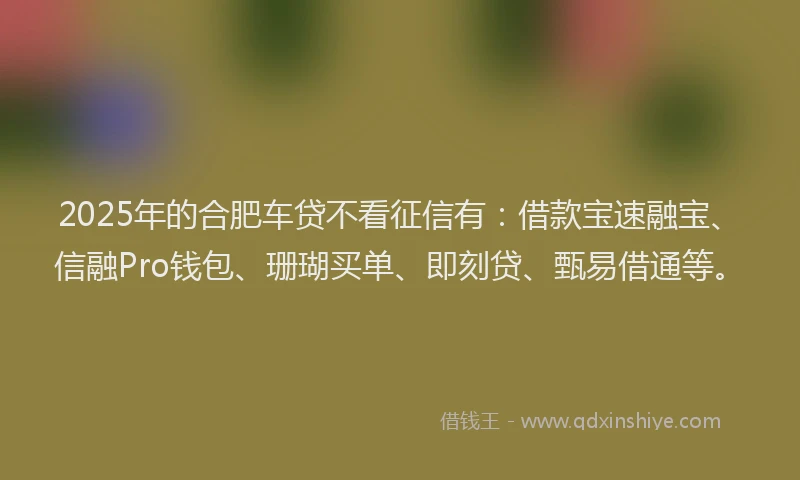 2025年的合肥车贷不看征信有：借款宝速融宝、信融Pro钱包、珊瑚买单、即刻贷、甄易借通等。