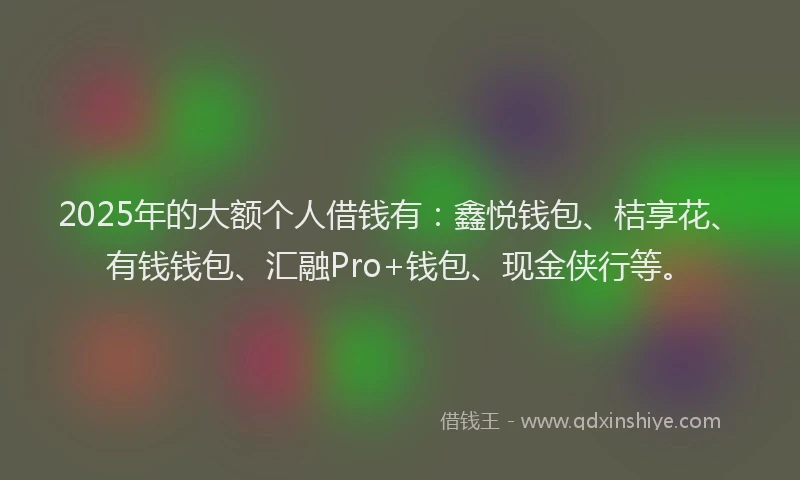 2025年的大额个人借钱有：鑫悦钱包、桔享花、有钱钱包、汇融Pro+钱包、现金侠行等。