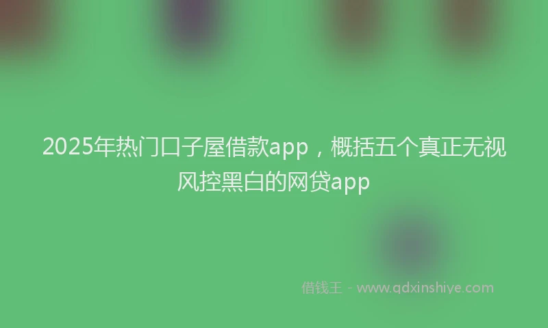 2025年热门口子屋借款app，概括五个真正无视风控黑白的网贷app