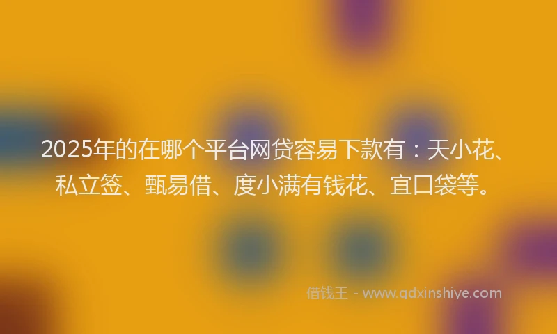 2025年的在哪个平台网贷容易下款有：天小花、私立签、甄易借、度小满有钱花、宜口袋等。