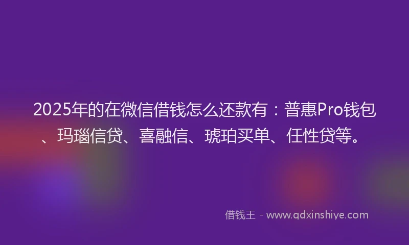 2025年的在微信借钱怎么还款有：普惠Pro钱包、玛瑙信贷、喜融信、琥珀买单、任性贷等。