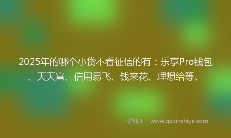 2025年的哪个小贷不看征信的有：乐享Pro钱包、天天富、信用易飞、钱来花、理想给等。