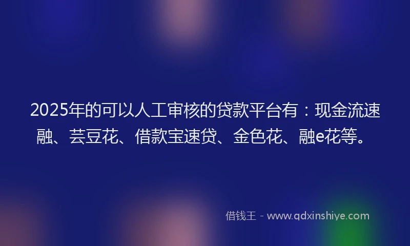 2025年的可以人工审核的贷款平台有：现金流速融、芸豆花、借款宝速贷、金色花、融e花等。
