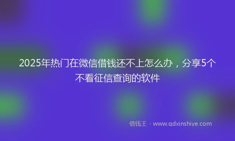 2025年热门在微信借钱还不上怎么办，分享5个不看征信查询的软件